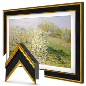 Black Gold Samsung the Frame