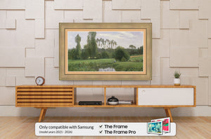 Deco TV Frames Samsung the Frame TV Champagne