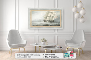 Deco TV Frames Samsung the Frame TV Contemporary Silver