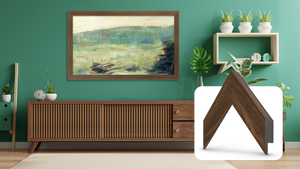 Museum Walnut (2017-2020)