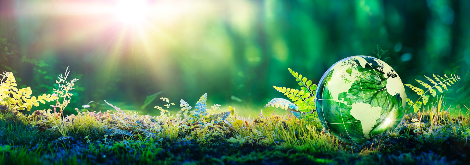 Sustainable Styles