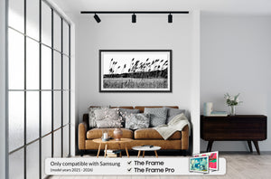 samsung the frame anodized black alloy frame
