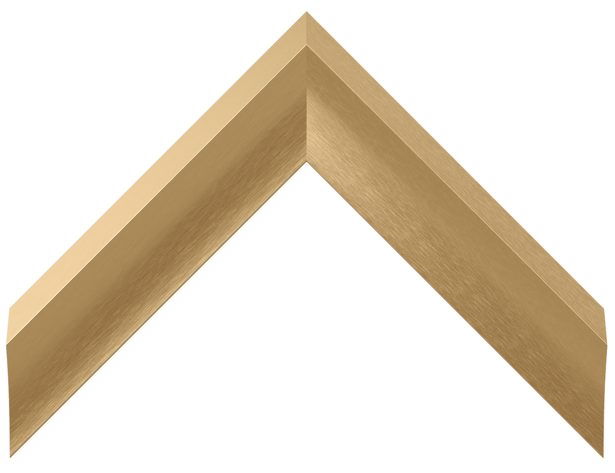 Pale Gold - Alloy Prismatic Samsung Frame Bezel (2017-2020)