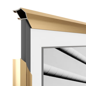 Pale Gold - Alloy Prismatic Samsung Frame Bezel (2017-2020)