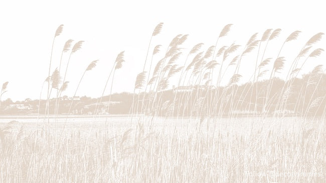 Abstract landscape04