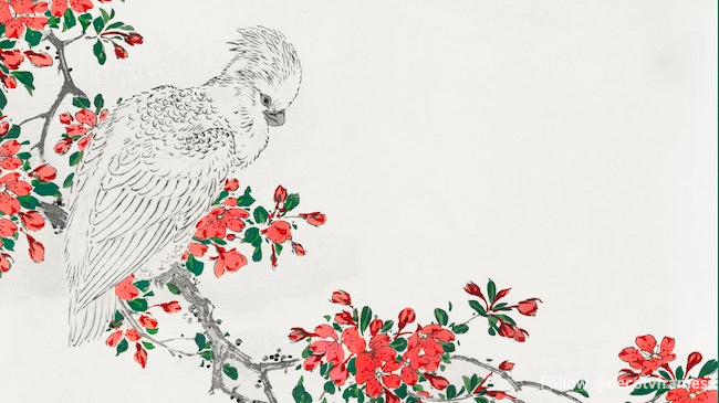 Illustration de perroquet et Pyrus spectabilis tirée de la monographie picturale des oiseaux (1885)