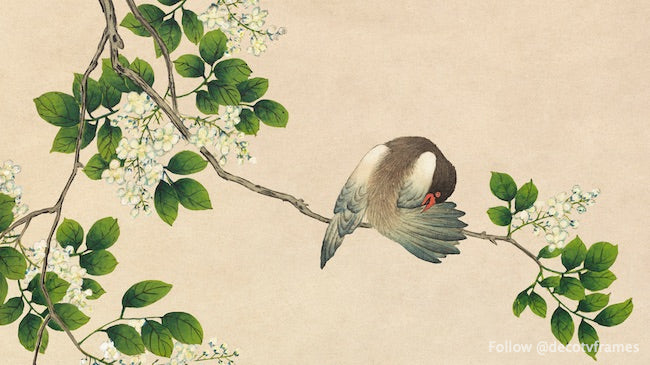 Oiseau qui se lèche (XVIIIe siècle) 