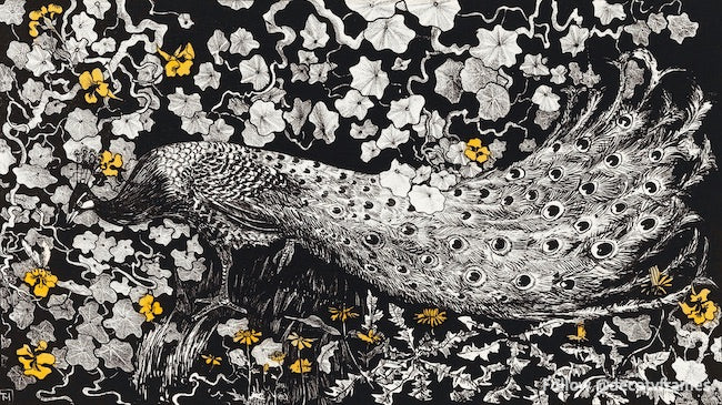 Pauw (en o antes de 1877-1903) 