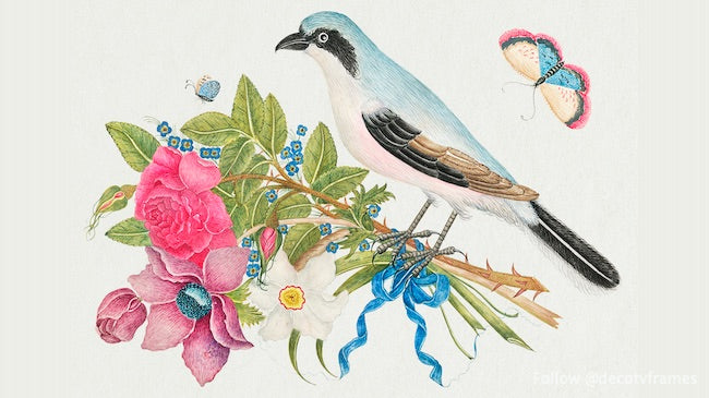 L'illustration du XVIIIe siècle représentant un oiseau bleu sur un bouquet de roses et de tulipes avec des papillons 