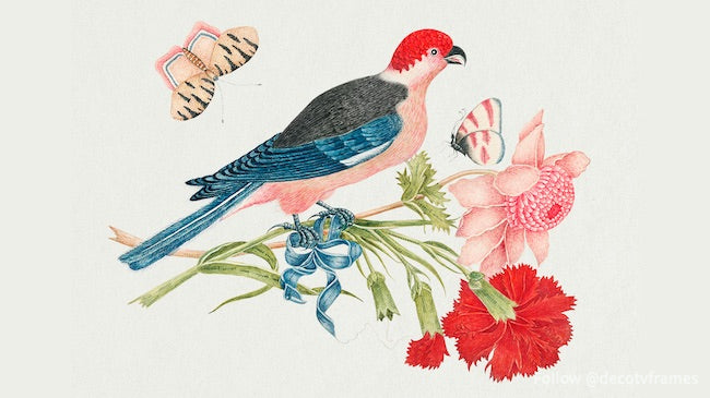The 18th century illustration of a pink, red, blue, and black bird on a branch with blossoms and butterflies