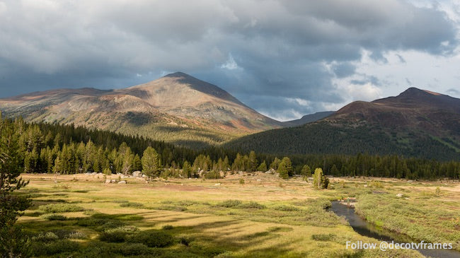 Parc National de Yosemite 