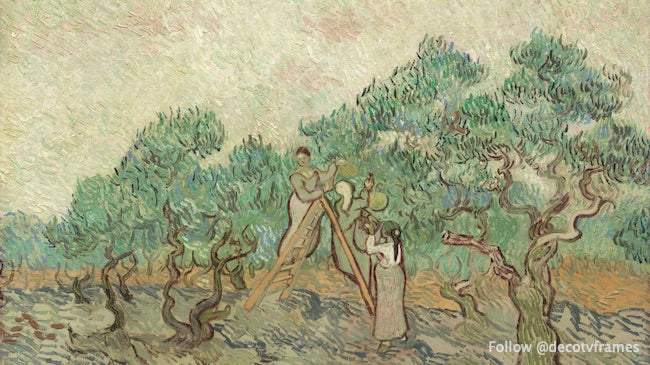 Le verger d'oliviers, 1889 